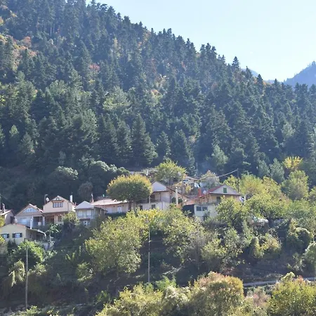 Holiday home αρχοντικό πέτρινο σπίτι Kato Vlasia